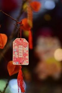 ví điện tử Sodo